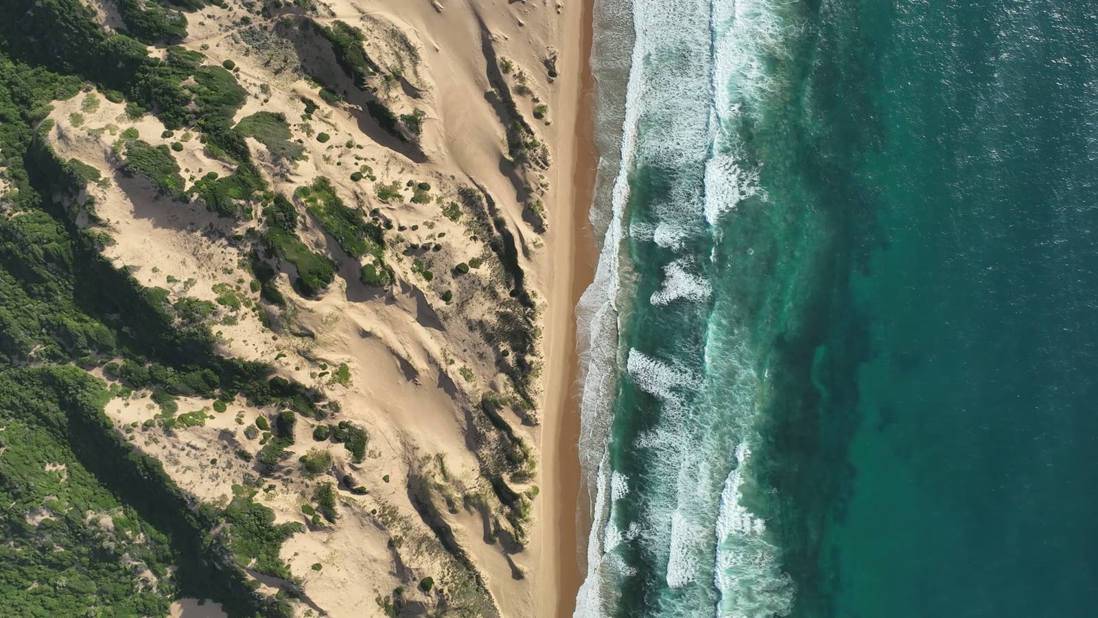 Aerial film of green dunes meeting the surf along the reserve coastline