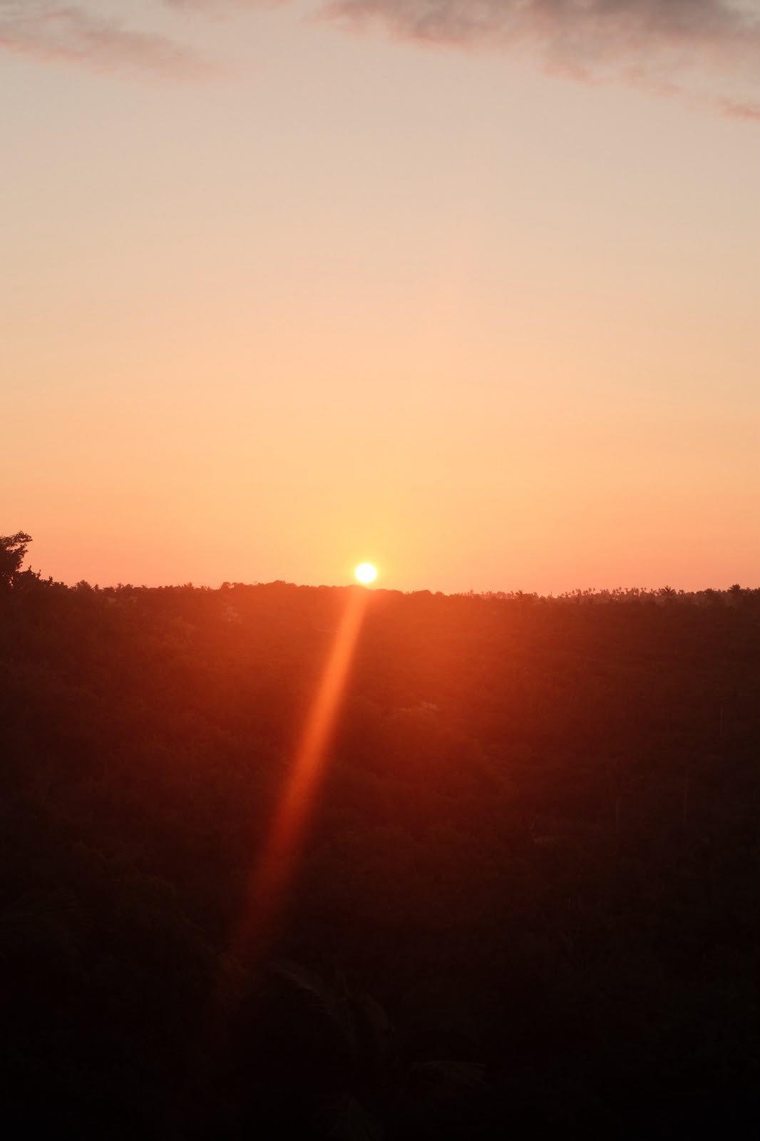 Sunset over the coastal bush of the reserve