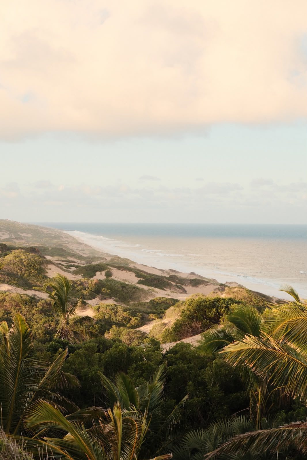The vegetated dunes that give the reserve its name