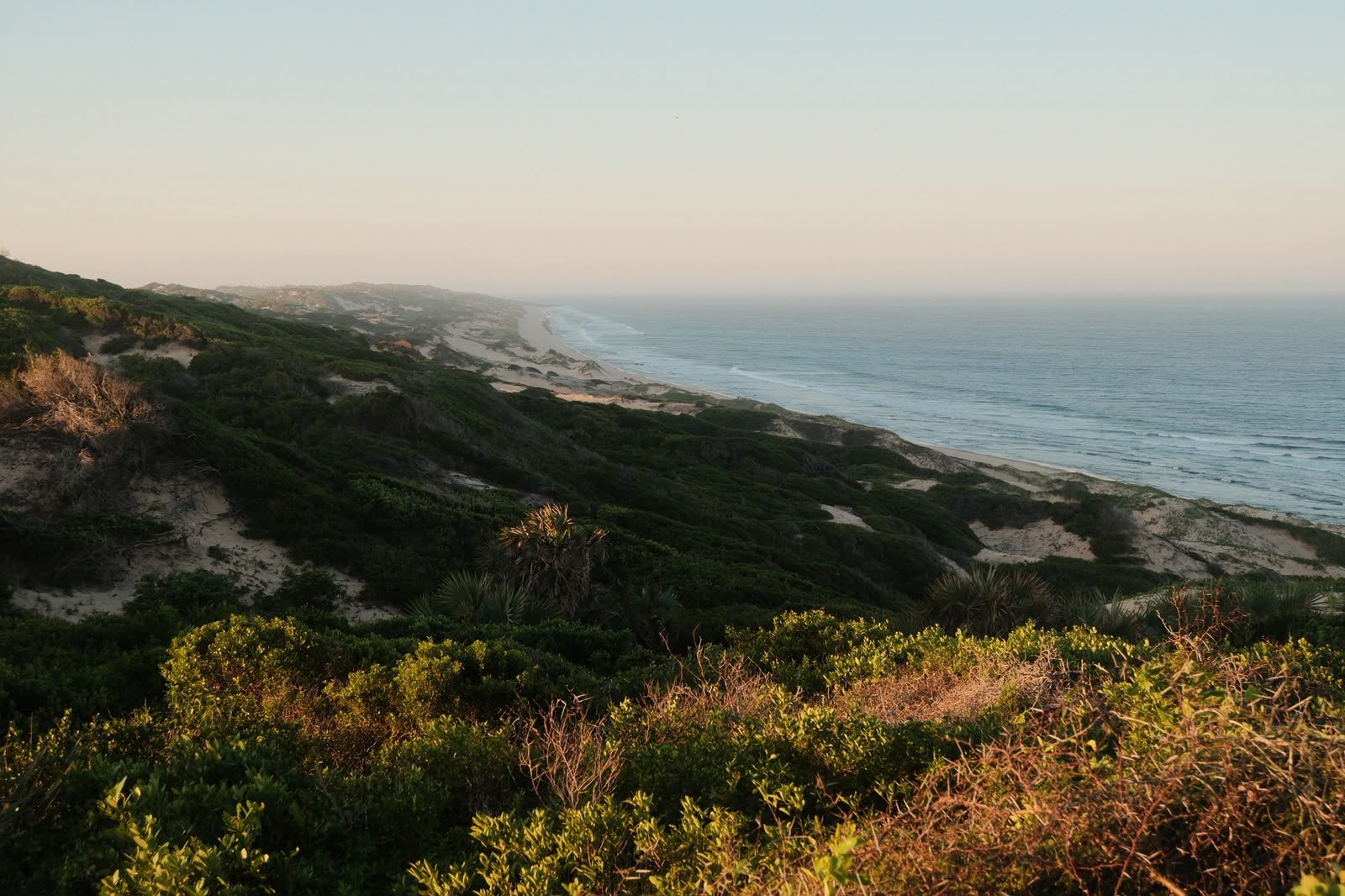 The protected coastline of Reserva Dunas Verdes